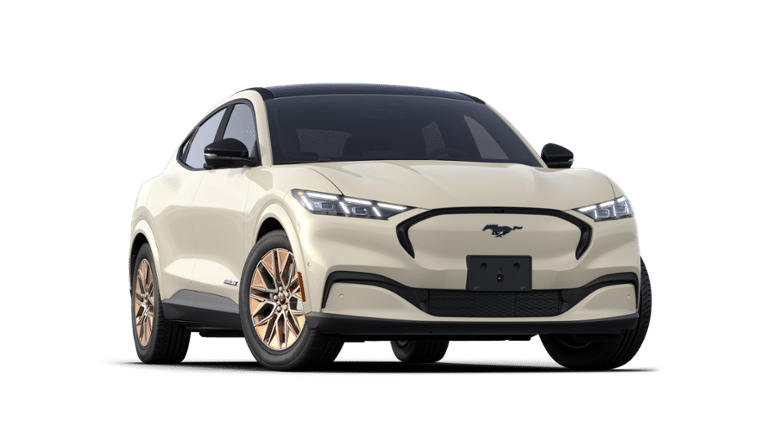 Mustang Mach-E® vehicle